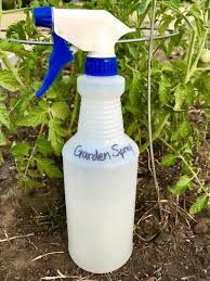 How To Make Easy Diy Homemade Fungicide Spray For Plants Two Ingredients Natural Garden Spray Organic Gardening