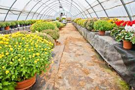 Maybe you would like to learn more about one of these? Simple Ways To Keep Bugs Out Of Your Fall Garden Vulcan Termite Pest Control