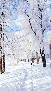 Winter Wallpaper Phone Kolpaper Awesome Free Hd Wallpapers Established 2012, iphonewalls.net is a high quality collection of 5299 free iphone wallpapers.