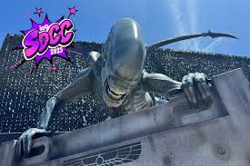 Laura mullor videos filtrados easy set up with a eager