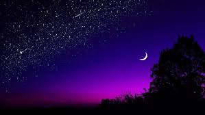 Iphone 11, purple, dark, hd, apple september 2019 event. Night Sky Starry Sky Night Stars Glitter Trees Hd Wallpaper Wallpaperbetter
