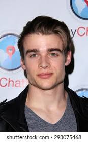 5+ Thousand Falke Royalty-Free Images, Stock Photos & Pictures