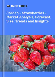 Jordan's Strawberry Market Report 2022 - Prices, Size, Forecast, and  Companies