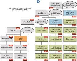 autosomal dna atdna testing the family tree guide to dna