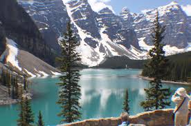 Image result for jasper