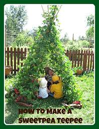How To Make A Sweetpea Teepee Saving Dollars Sense Garden Projects Diy Garden Projects Backyard Diy Projects