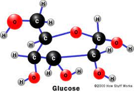 Why the type of sugar alcohol matters? Carbohydrates How Food Works Howstuffworks