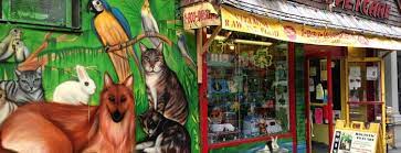 Maybe you would like to learn more about one of these? The 15 Best Pet Stores In New York City