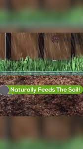 Biodegradable Grass Seed Mat Video Grass Seed Mat Easy Garden Ideas Landscaping Biodegradable Products
