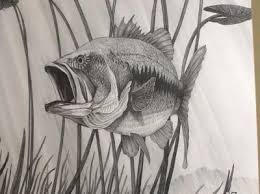 Fish Sketch Option 5 Is The Most Difficult Of All The Sketches And Challenges Both Your Drawing And Detail S Fish Sketch Pencil Drawing Pictures Fish Drawings