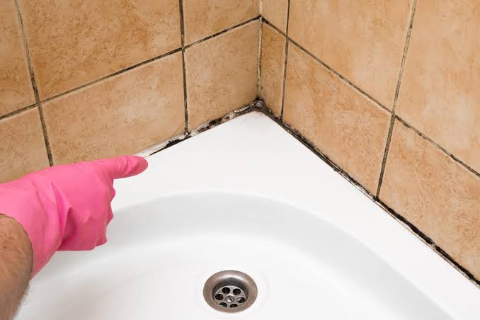 Black mold roots deeply into silicone sealant and tile grout if left untreated, AI generated