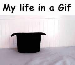 Gif Of My Life Funsubstance Com Funny Gif Funny Cute Funny