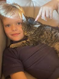 Missing Cat Snakebite in Hwy 821 Area