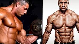 Are 3 Days Splits Enough To Build Muscle Mass Spotmebro Com
