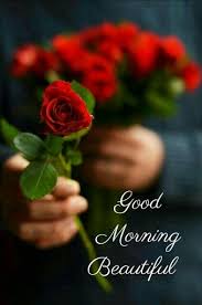 Good Morning Red Roses Beautiful Flowers Beautiful Roses
