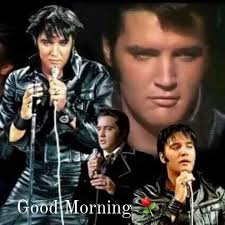 Elvis Presley's music as emotional support