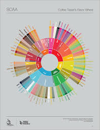 the coffee taster s flavor wheel english digital version coffee flavor coffee beans speciality coffee