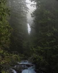A Misty enchanted forest riddled with waterfalls right outside of Seattle,  Washington -Wallace Falls state park. A park that has all of the dreamy PNW  cliches you could ever dream of! Moss