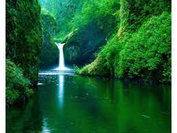 You can find the best and most beautiful hd nature wallpapers of pexels on this page. Nature Wallpaper At Best Price In India