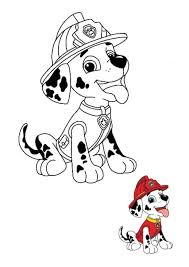You can download, favorites, color online and print these paw patrol marshall coloring page for free. Paw Patrol Marshall Marshall Paw Patrol Paw Patrol Coloring Paw Patrol Coloring Pages