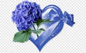 Today's post is going to completely amaze you if you love beautiful blooms from farms on a volcano, bouquets that are affordable and will arrive to celebrate valentine's day with. Blue Valentine Png Images Pngegg
