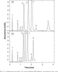 Pdf Isocratic And Gradient Elution Chromatography A Comparison In Terms Of Speed Retention Reproducibility And Quantitation Semantic Scholar