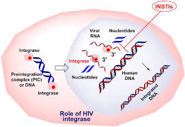 Image result for Integrase Strand Transfer Inhibitor