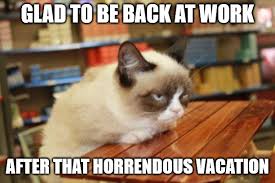 35 hilarious work anniversary memes to celebrate your career. Glad To Be Back At Work After That Horrendous Vacation Grumpy Cat Table Meme