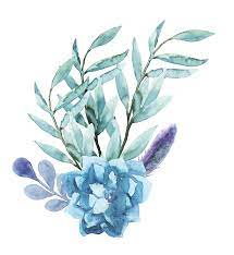 Touch device users, explore by touch or with swipe gestures. Blue Watercolor Flowers Novocom Top