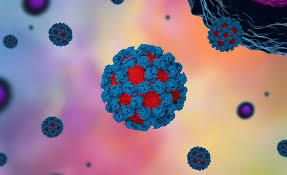 Калицивирусы (норовирусы, саповирусы) caliciviridae (norovirus, sapovirus). Minnesota State Health Officials Announce Norovirus Infections Are On The Rise 2021 06 15 Food Safety