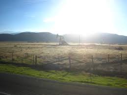 Image result for opec production