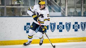 Fantraxhq is the official content sponsor of fantrax.com, the hottest fantasy site of 2019 and 2020. 2021 Nhl Draft Top 32 Prospects Include Power Edvinsson Clarke