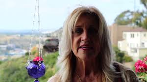 Views from the Balcony