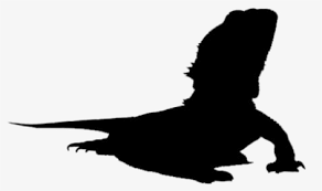 Download these amazing cliparts absolutely free and use these for creating your presentation, blog or website. Beard Silhouette Png Images Transparent Beard Silhouette Image Download Pngitem