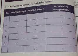 We did not find results for: Ipa Kelas 7 Halaman 40 Semester 2 Brainly Co Id