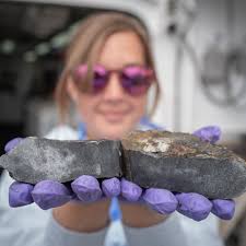 Deep-sea hydrothermal activity, which could lead to the formation of seabed  minerals, has yet to be discovered along Alaska's Aleutian Arc. During the  Aleutian Arc: Integrated Exploration of Biodiversity at Priority Benthic