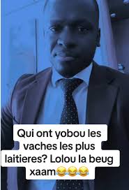 Les vaches laitières et la culture sénégalaise