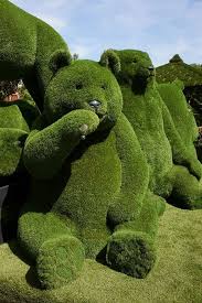 Pin Von Valeri Lera Auf Gartendeco Busch Formschnitt Garten Pflanzengestaltung Gartenkunst