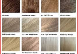 Brown Hair Colour Online Charts Collection