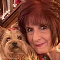 20+ "Reduzzi" profiles