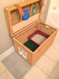 I redesigned it to fit her space and provide a hidden spot for the litter box. 8 Creative Ways To Hide Your Cat S Litter Box Healthy Paws