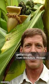 534 Clare College Stock Photos, High-Res Pictures, and Images