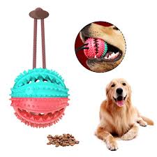 Once the ball is cut, insert some food and let your dog go crazy! 2021 Dog Toothbrush Chew Toy Dog Treat Ball Food Dispensing Iq Treat Boredom Teeth Cleaning Dog Puzzle Feeder Chew Bite Rope Toy Inte From Ysfbest132400 9 03 Dhgate Com