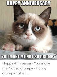 See more ideas about work anniversary, hilarious, work anniversary meme. Anniversary Meme Cat 10lilian