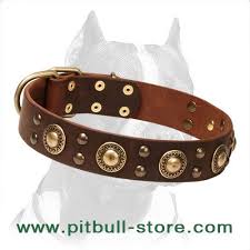 C10 1077 Leather Collar With Brass Circles Pitbulls Leather Dog Collars Leather Collar