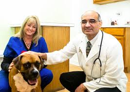 If after hours, there two emergency clinics in seattle that we highly recommend. Our Team Gentle Care Veterinary Clinic