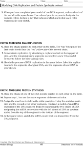 Modeling Dna Replication And Protein Synthesis Pdf Free Download