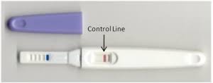 Pregnancy Test Instructions Time To Conceive