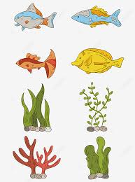 78 gambar gambar kartun ikan koi paling bagus pusat informasi ikan kartun gambar gambar gratis di pixabay hd fish png ikan kartun berwarna transparent png image Gambar Kartun Berwarna Warni Makhluk Bawah Laut Ikan Elemen Karang Rumput Laut Kartun Vektor Warna Png Dan Vektor Dengan Latar Belakang Transparan Untuk Unduh Gratis