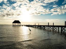 Maybe you would like to learn more about one of these? A Guide To Isla Holbox Booking Com